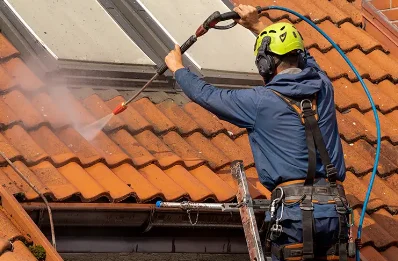Démoussage et hydrofuge de toiture à Peyrouse